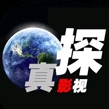 真探玩赚AI