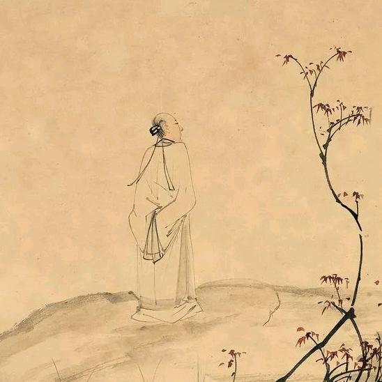 钩吻草
