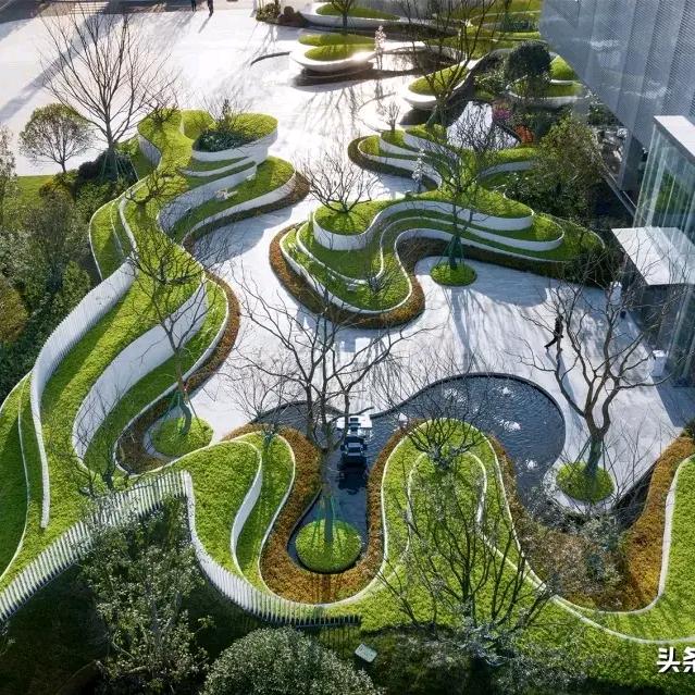 棕榈说