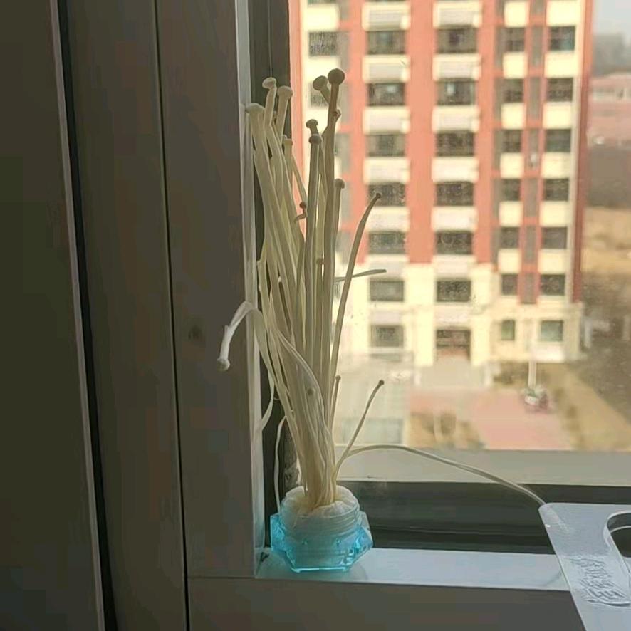 专注做好一件事