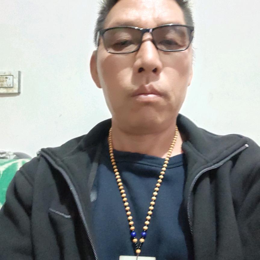 高原之松