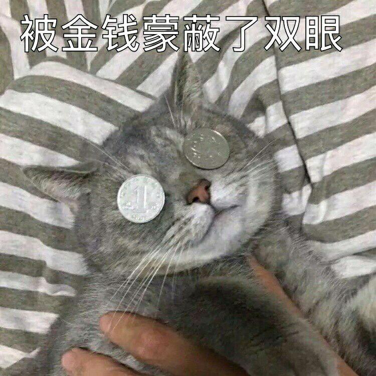 我玩命，”