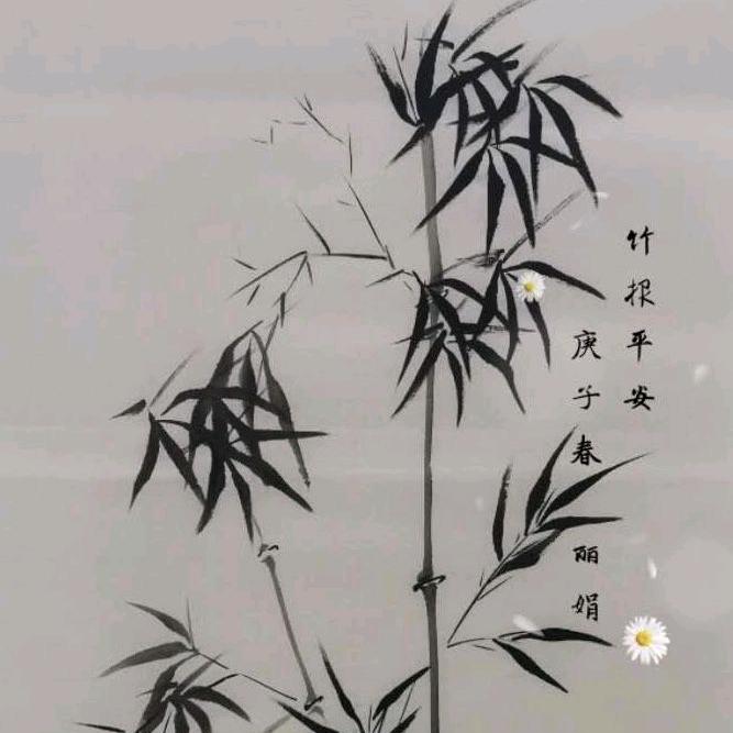 杨丽娟工作室