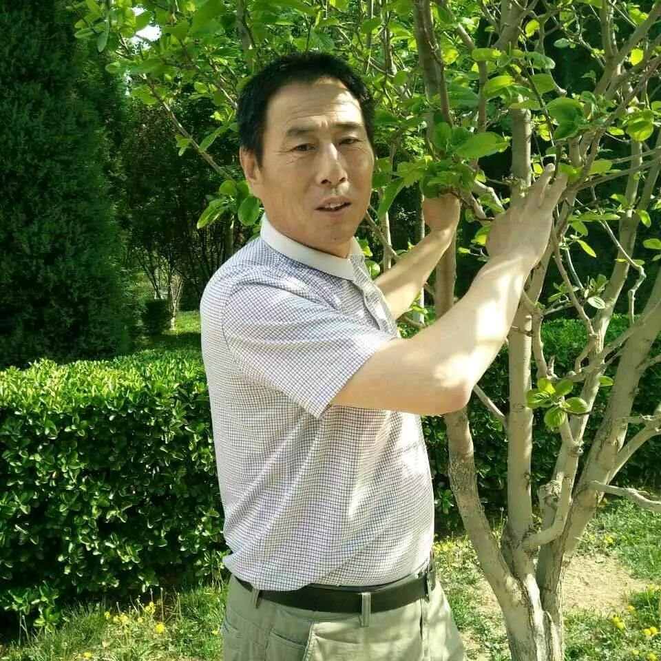 无语66