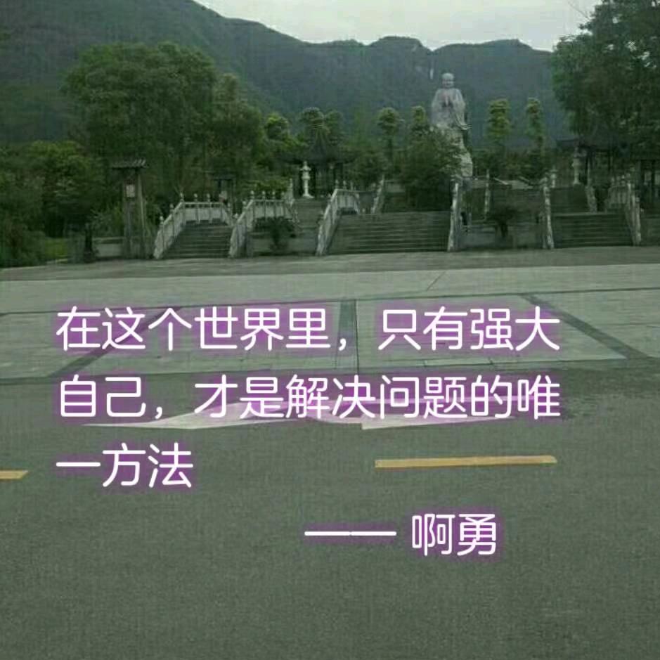 回收废旧小严