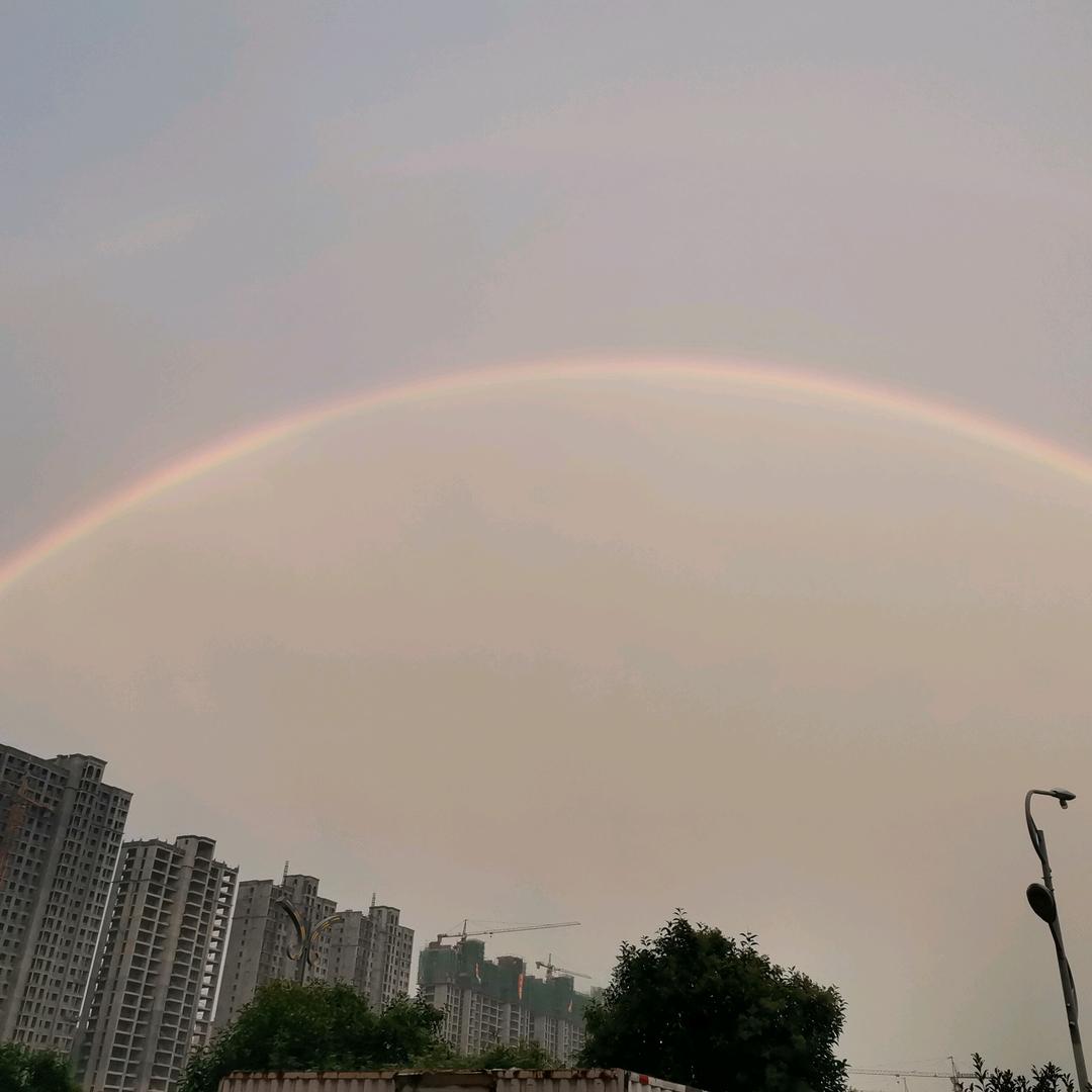 睢县酒祖杜康豫A0001（宥琳酒业）