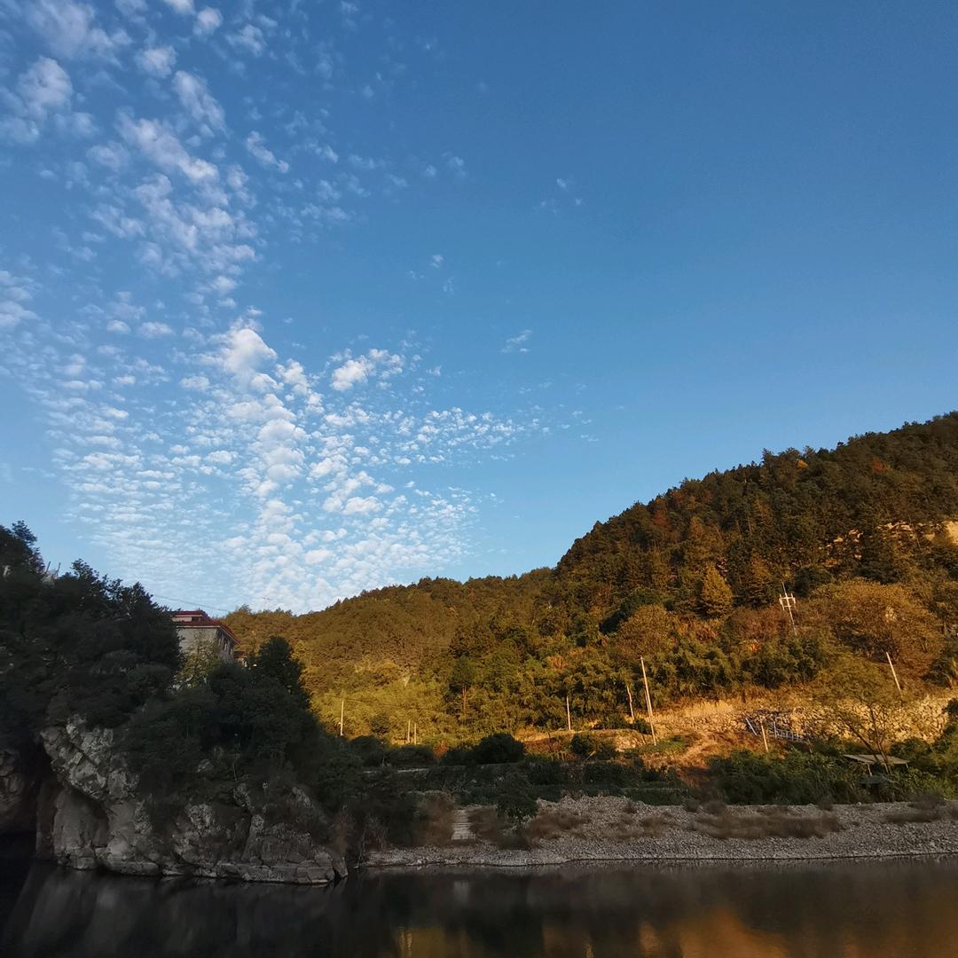 云南山歌小杨柳