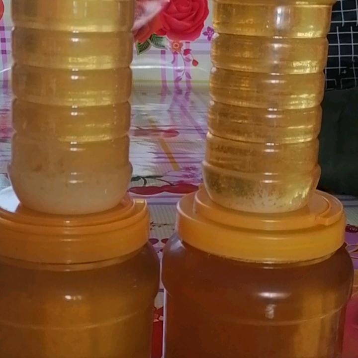 蜜蜂