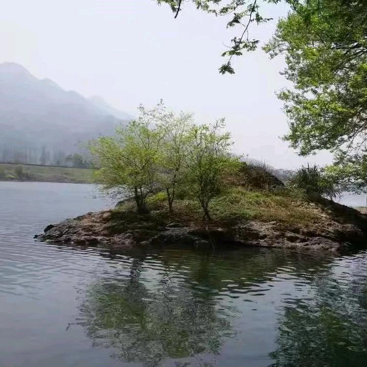 感恩遇见🌷