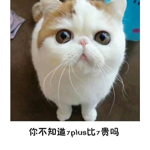 世态炎凉