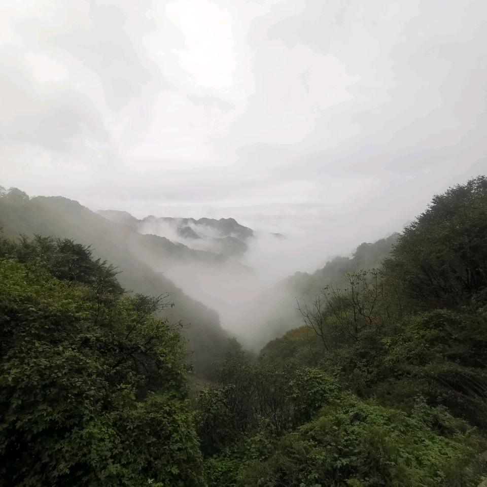 孙玮珑