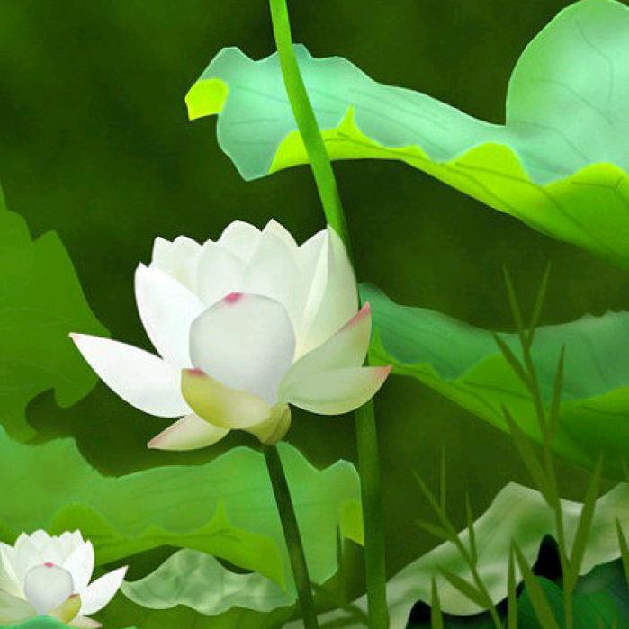 菩提树下♥顿悟