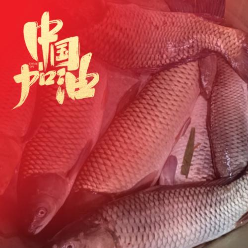 如沐春风 福泽深厚
