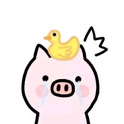 猪猪哥哥