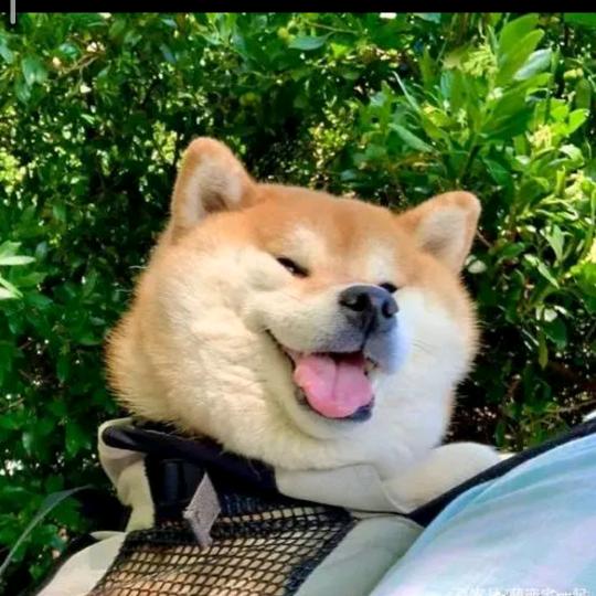 看不见头像