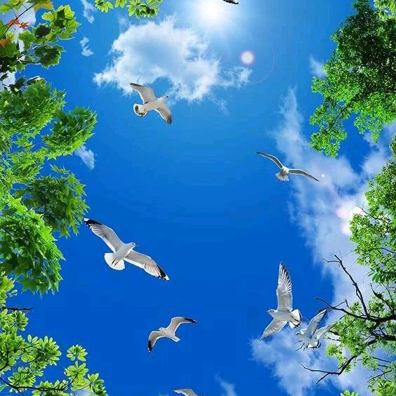 顾然（拒绝私聊》