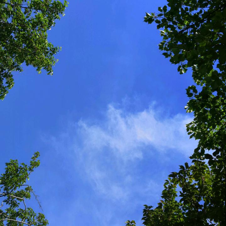 岁月头像