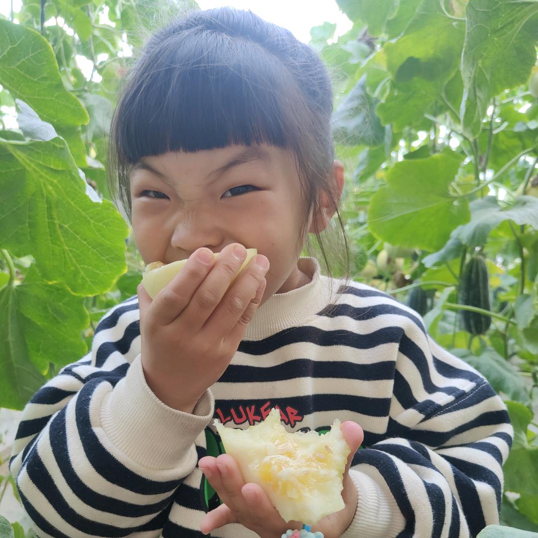 香瓜甜甜甜