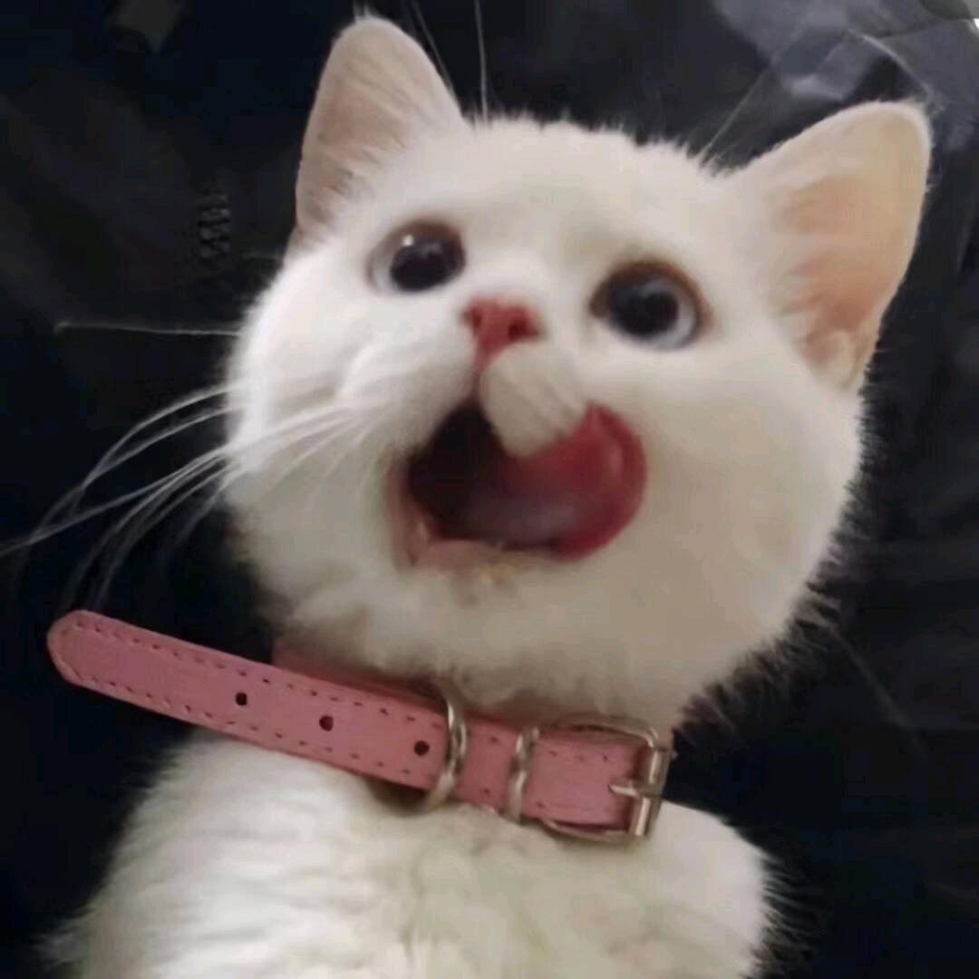 安吉拉