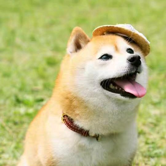 从此不叫蚂蚁