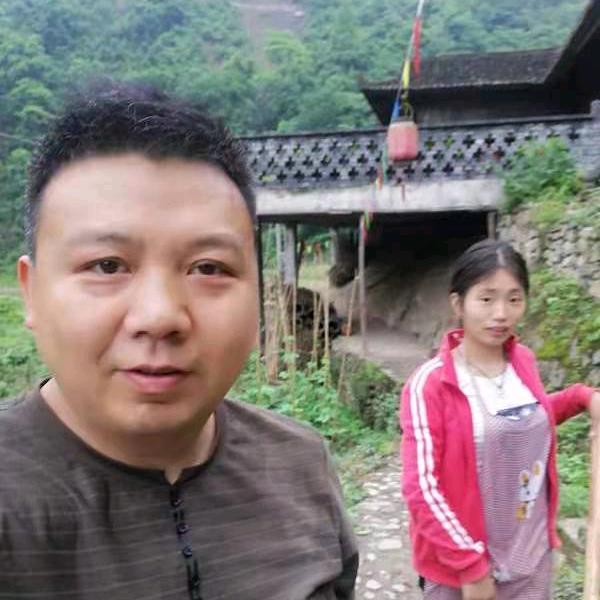 仙女山上的大黄蜂