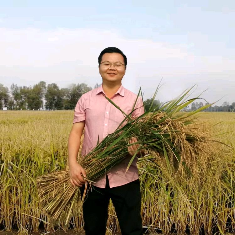 我在草原种水稻