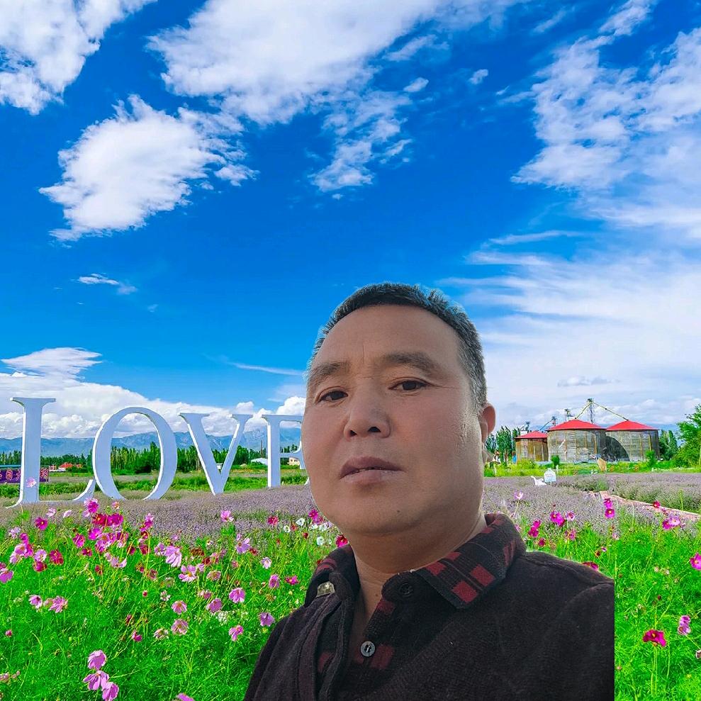 格桑花🌸🌸