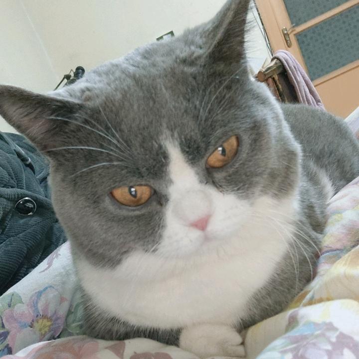 方少