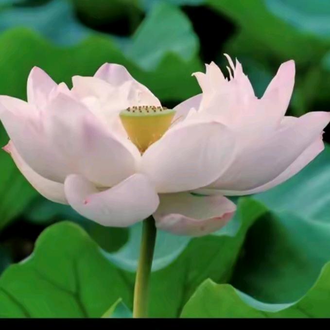 阳光。