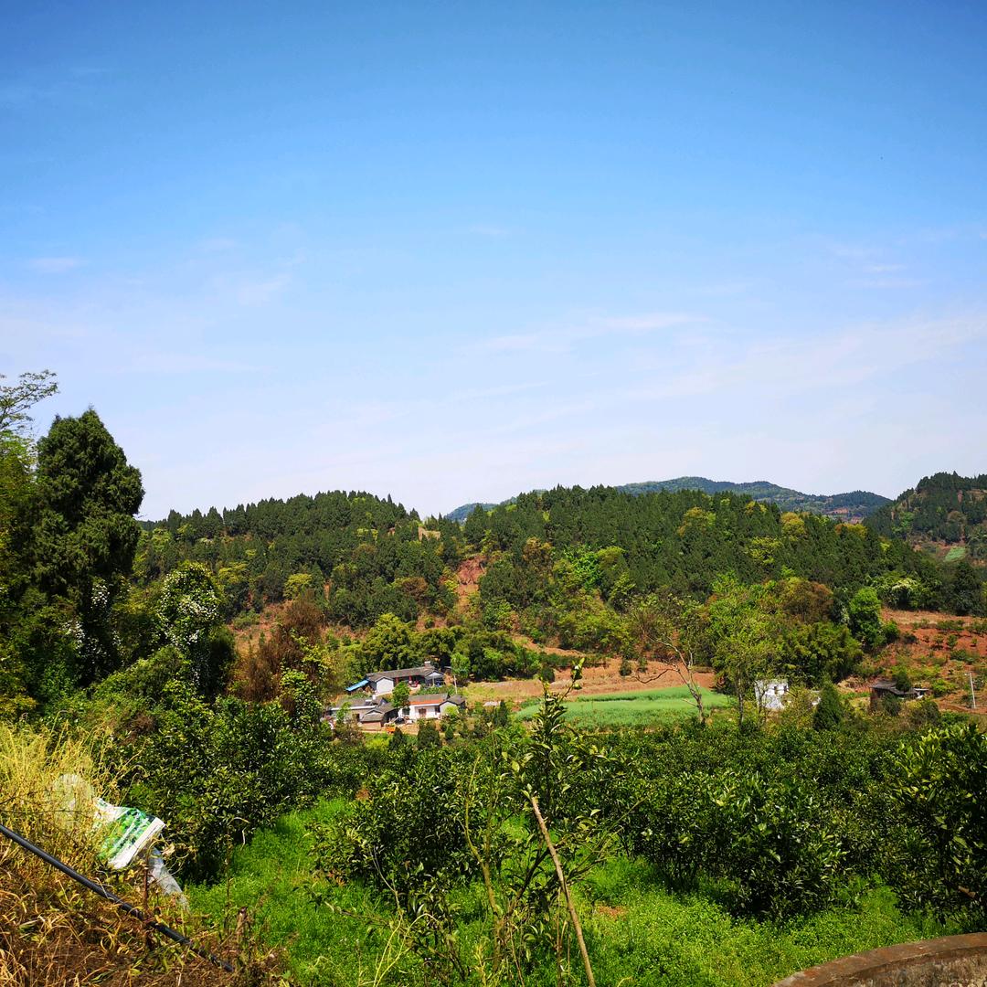 山村
