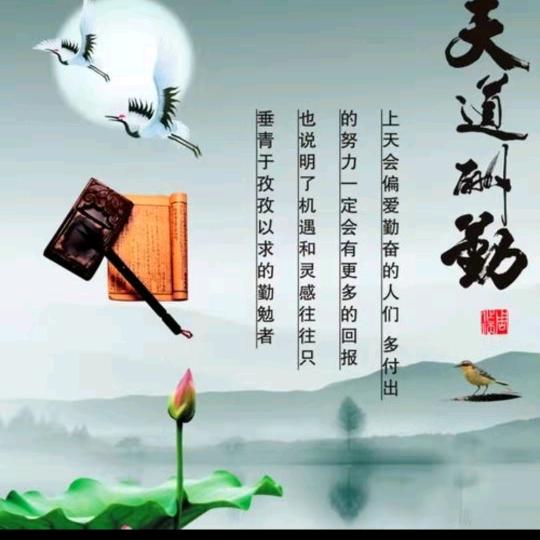 向往幸福《苗》