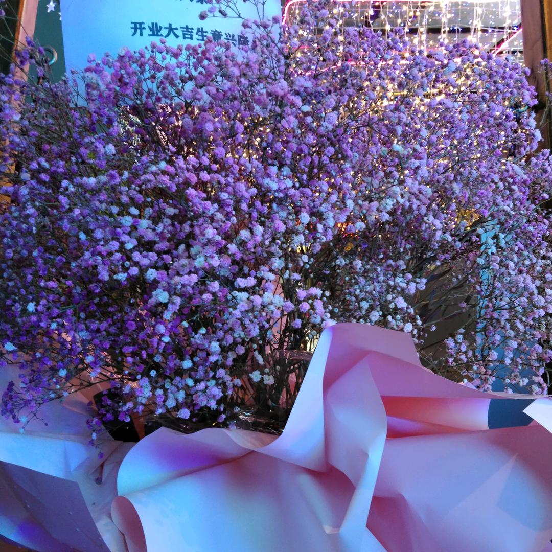 忘记年龄，讨好自己。(✷‿✷)