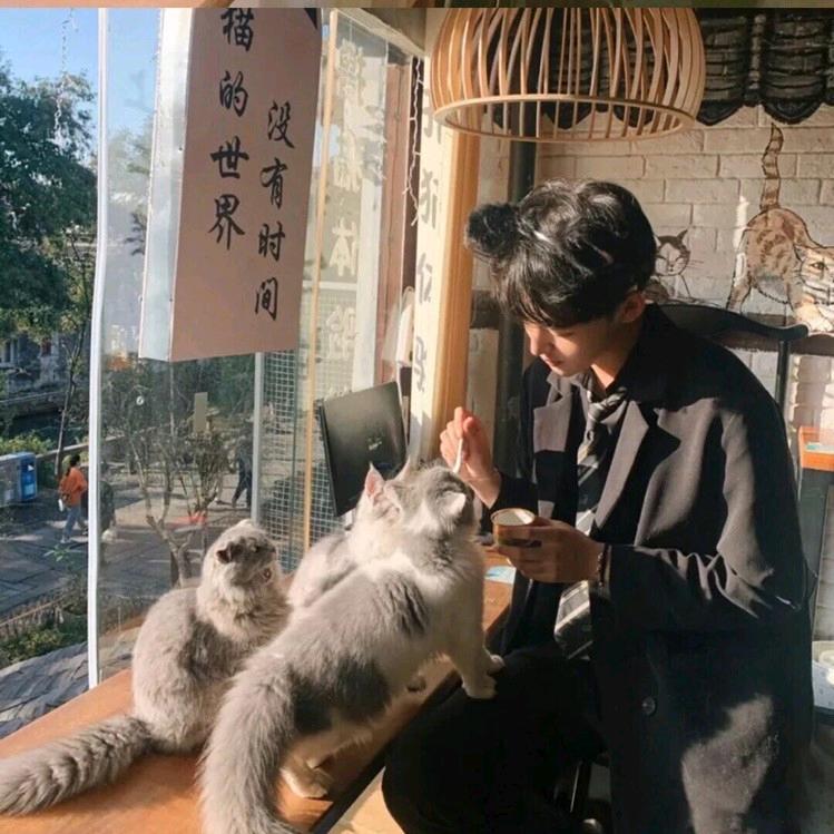 ✨灿若星河🌙