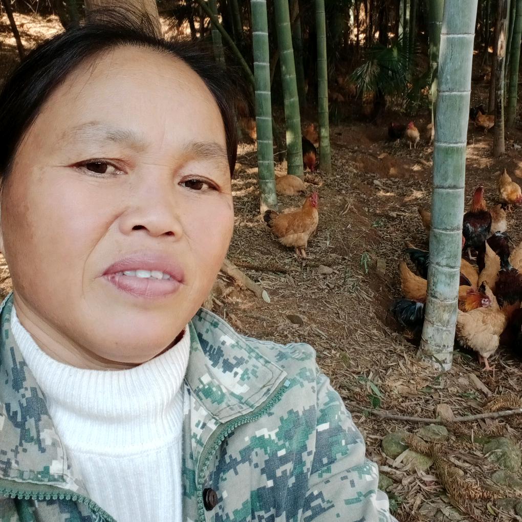 资兴小英生态种养家庭农场