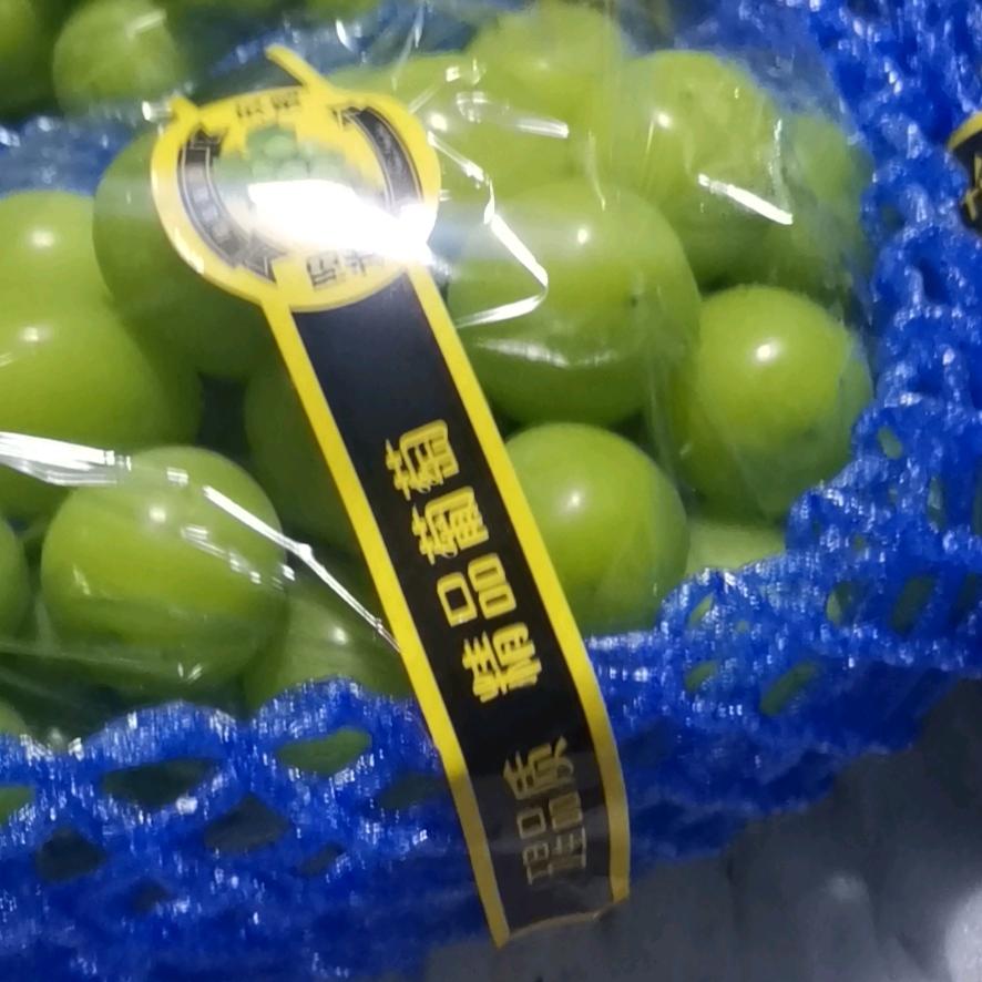 葡萄经纪人<大四>