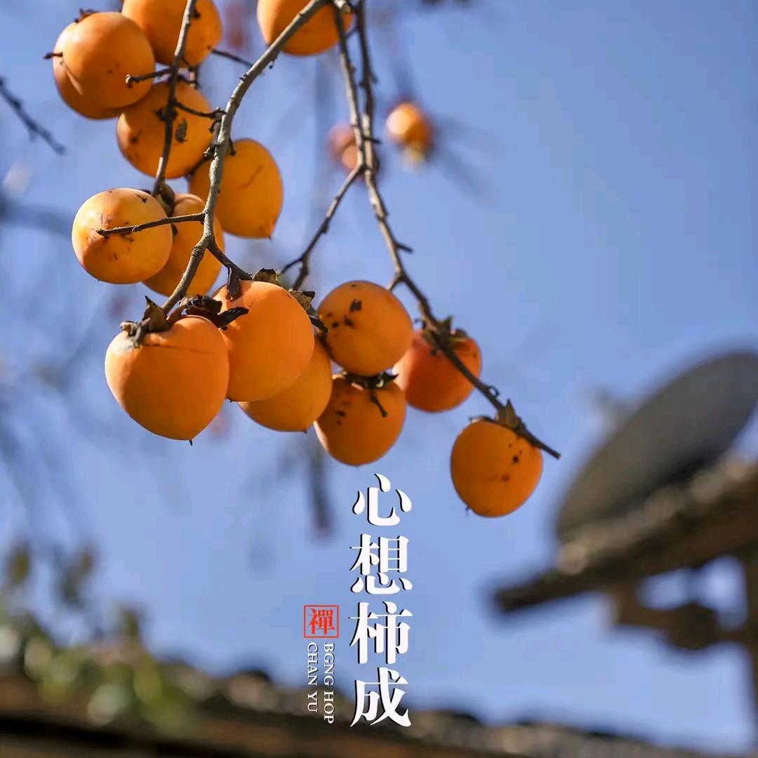 财神爷的心尖尖❤️（暴富暴瘦暴美）