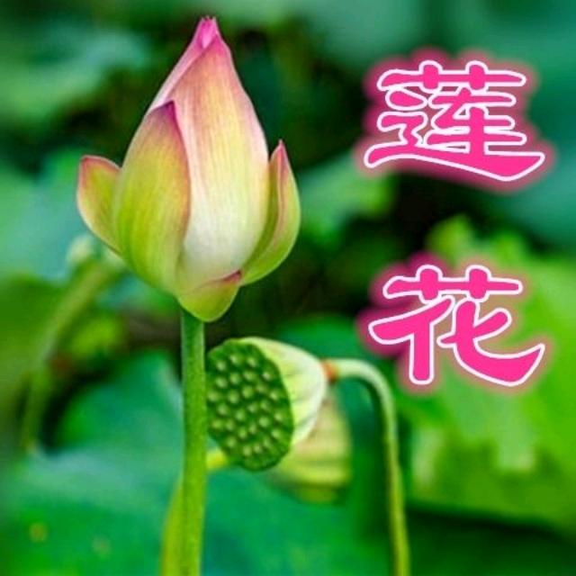 好人—生平安