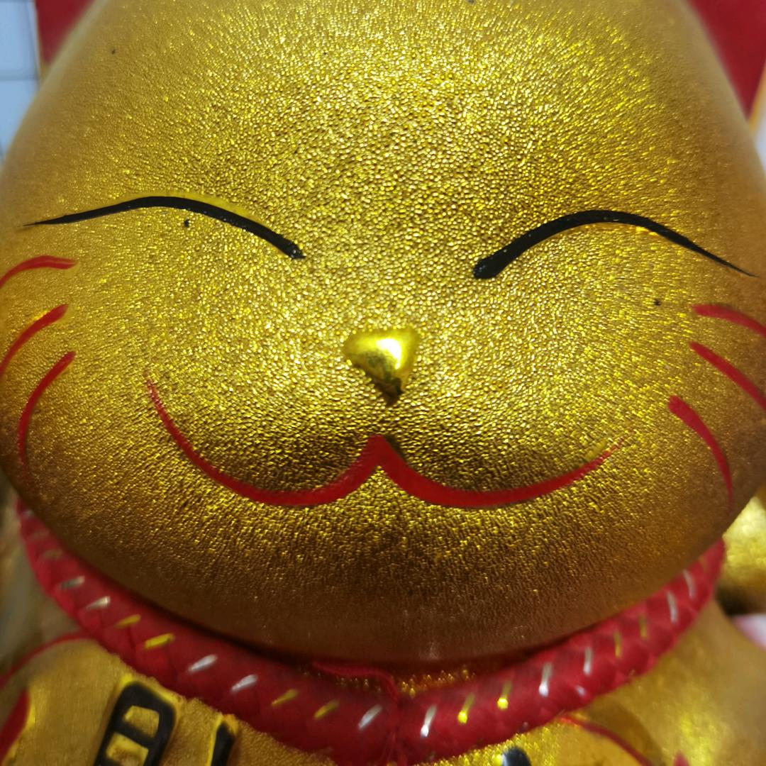 本草纲目