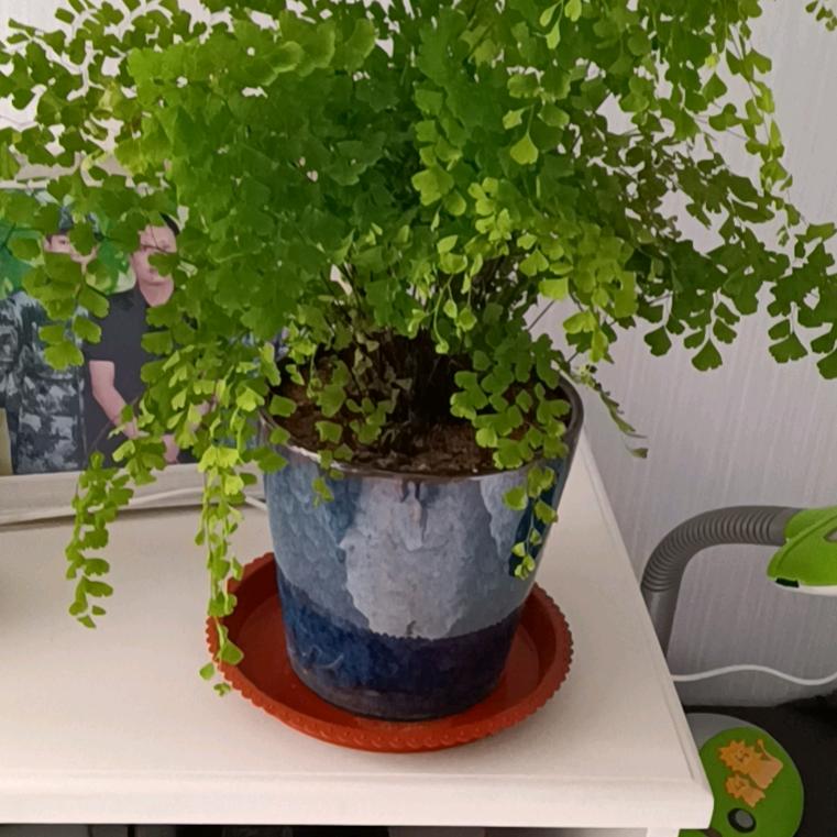 蓝天