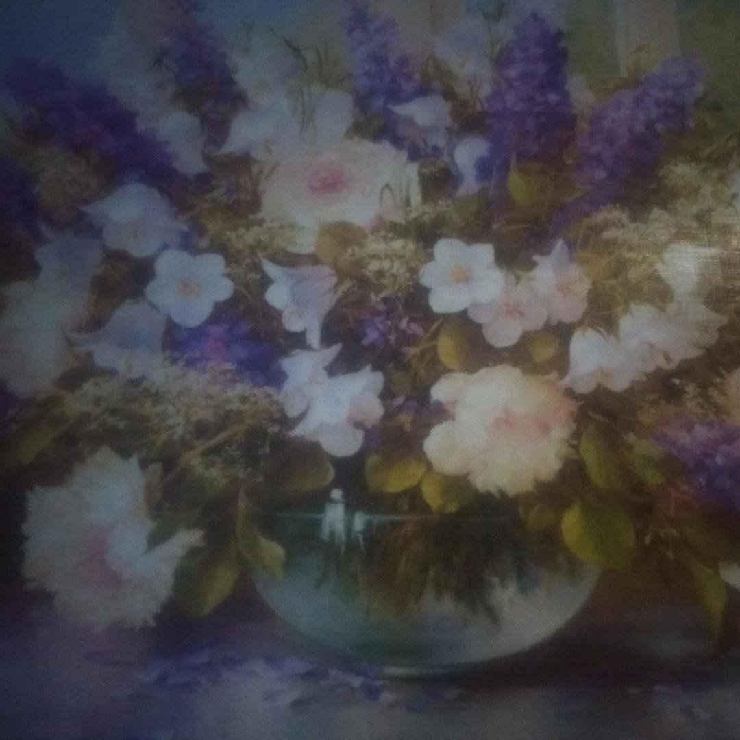 刘总(加入小云村长直播早5点半晚8.30