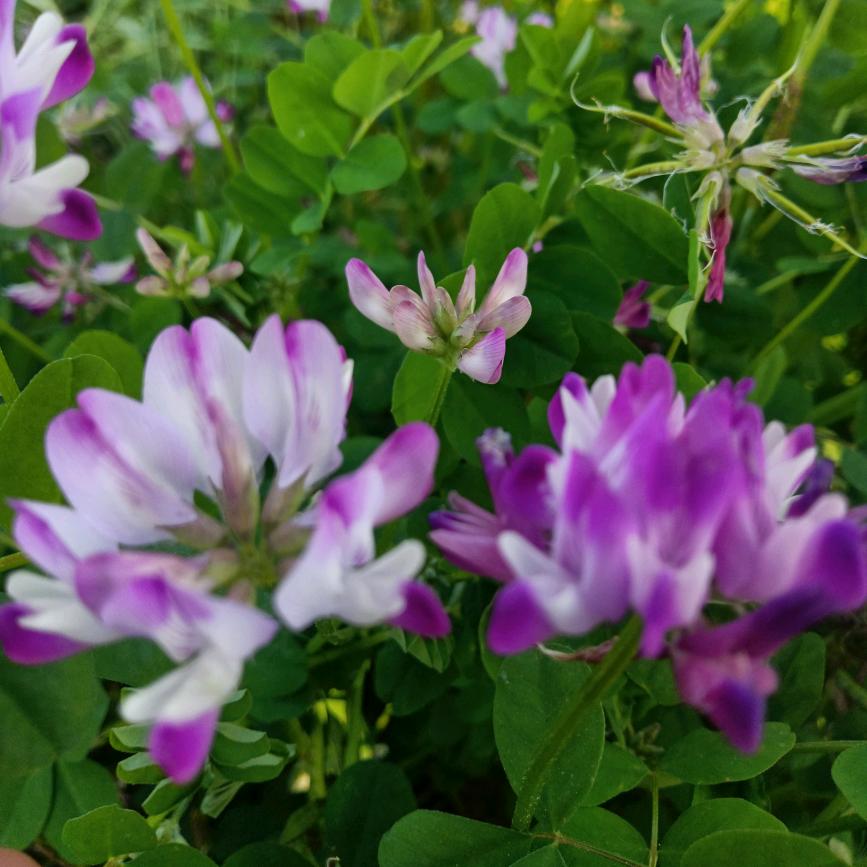 ¥(´･ᴗ･`)￥ 💕留给过往ʚ♥