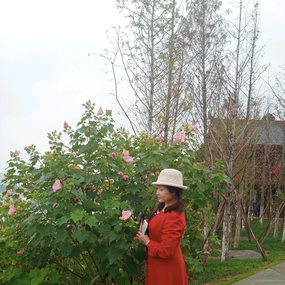 小英