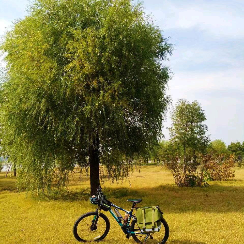 骑游地球音乐厅