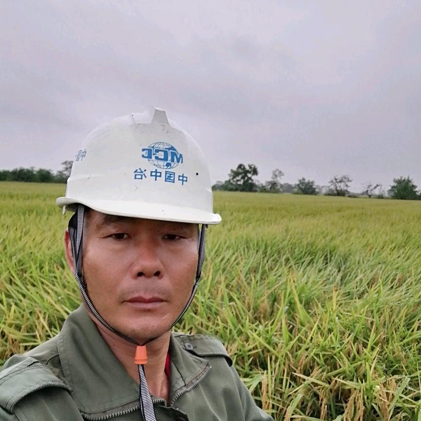 杨春玉