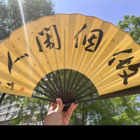 乘风前行