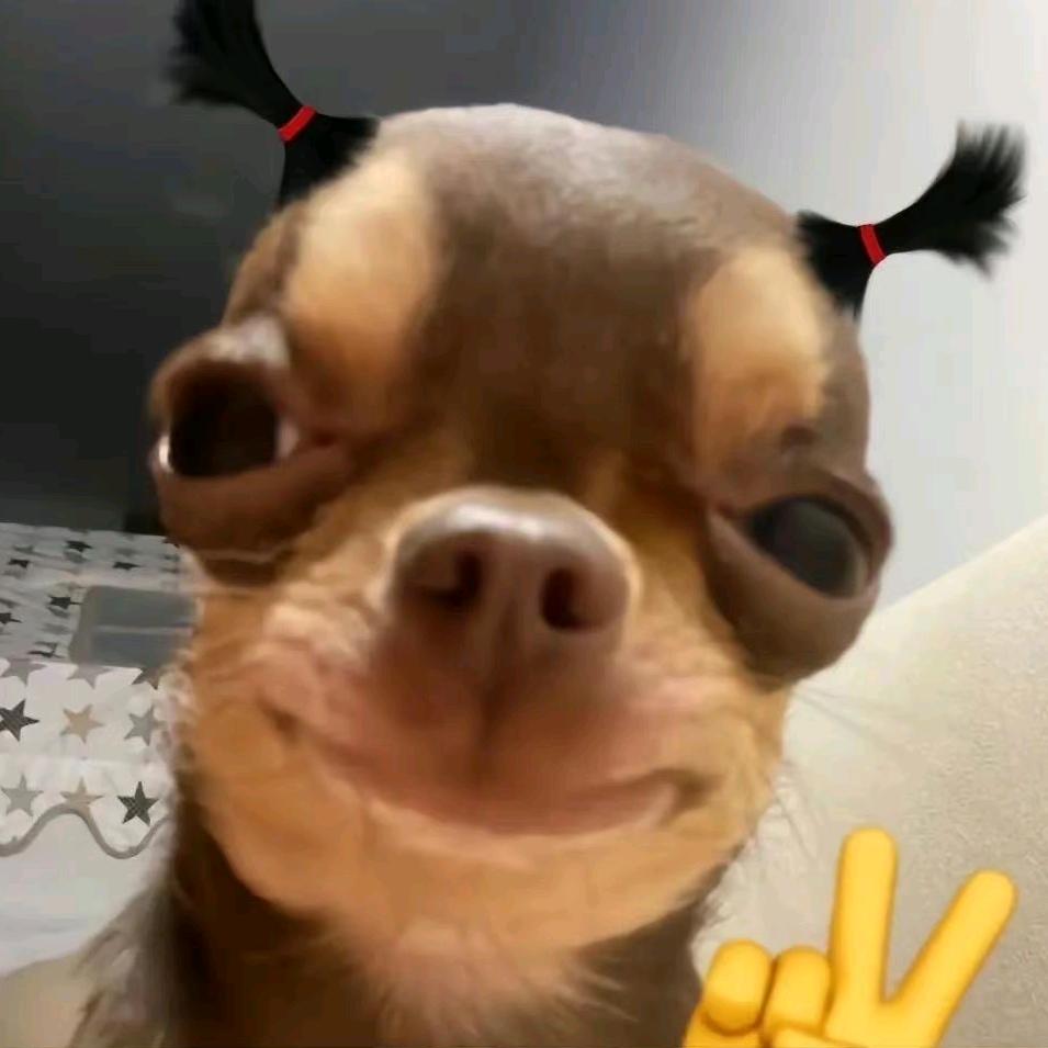 一枚三弟