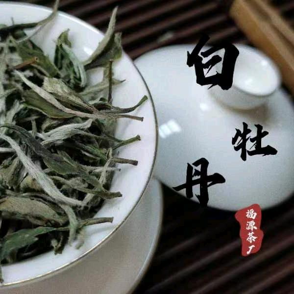 福源茶厂