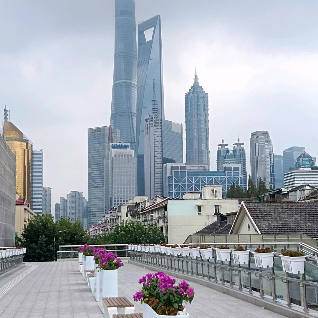 文圣大老爷光伏扛把子