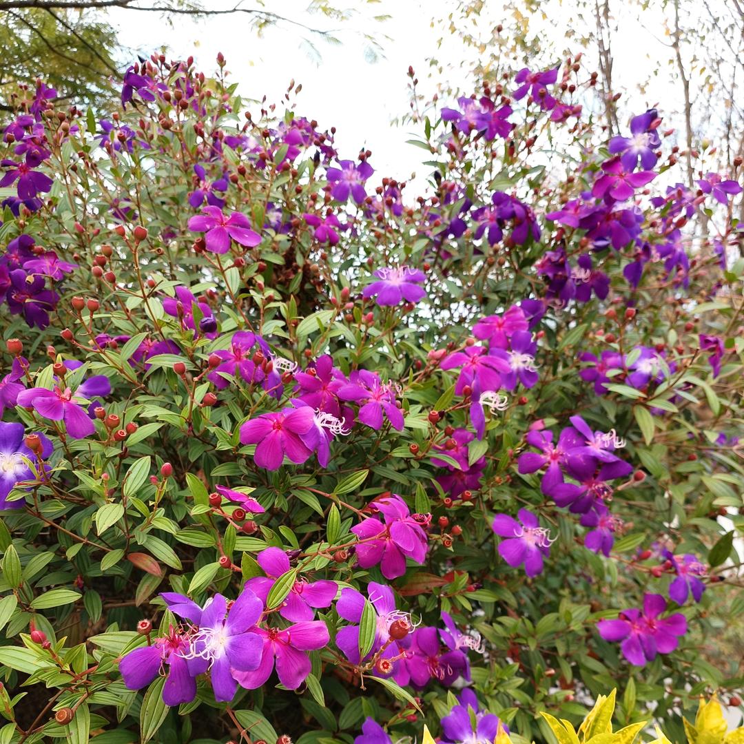 ꧁💖余꫞꯭生🌺随꫞💖心꧂