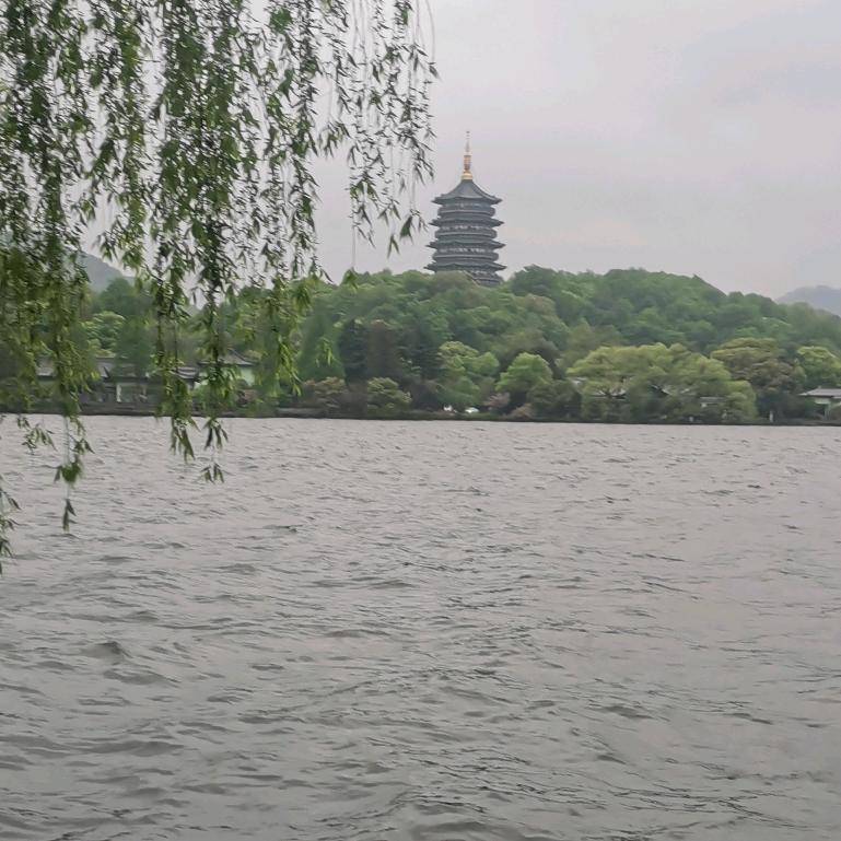 杨你一辈子